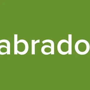 labrador