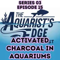 Activated Carbon (Charcoal) in Aquariums: What It Does, When to Use It, and Common Myths