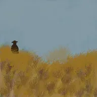 Bᴇɴ ᴋᴏʀᴋᴀʀᴋᴇɴ ɢöᴋʏüᴢüɴᴅᴇɴ Sᴇɴ ʙɪ ʙᴜʟᴜᴛᴍᴜşꜱᴜɴ