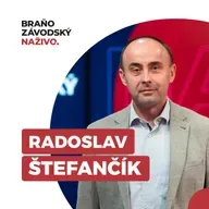 Štefančík: Koalícia nehlasovaním o dôvere nerešpektuje ústavu a tvári sa nedotknuteľne