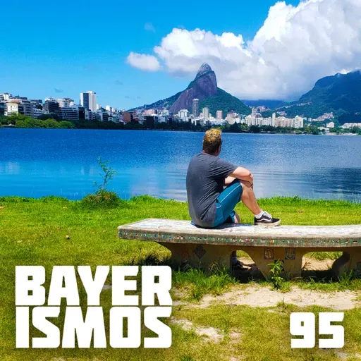 Bayerismos 95 - Reparação