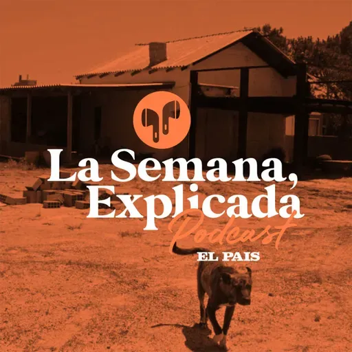 LSE: Playa del Este, un balneario en Rocha con derechos posesorios “truchos”, según la intendencia