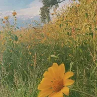 ValoresTransmitidos👨🏽‍🦳👵🏽+🧔🏽👩🏽‍🦱=👧🏽👦🏽