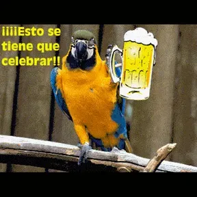 Radio JALOIPA