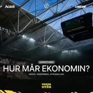 581. Hur mår ekonomin?