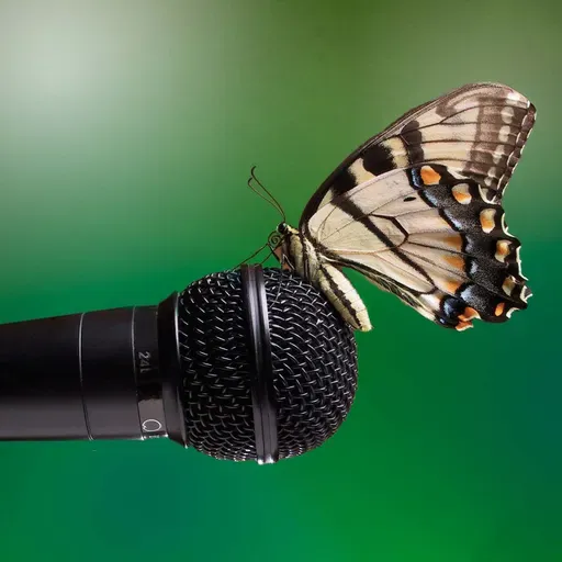 156_Ambiente Puma_Vaquita Marina 2_M280617