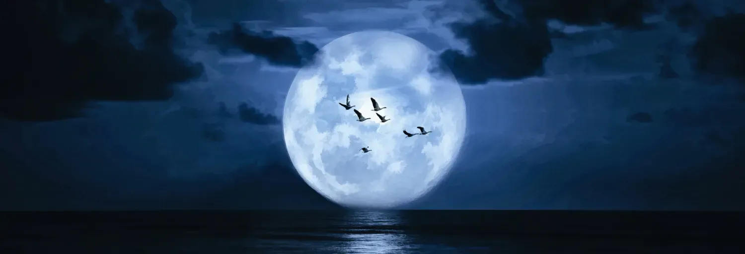 Magica Luna Radio