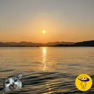 102:杭州｜网络小说作者的生活