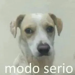 Anzora_81
