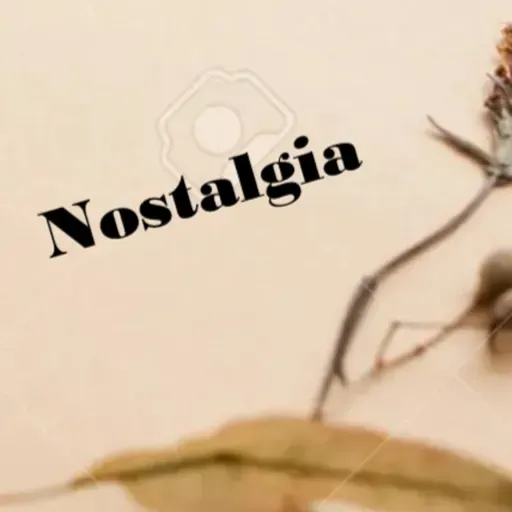 NOSTALGIA JUNIO