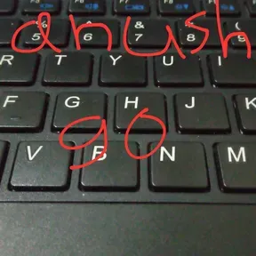 anush go