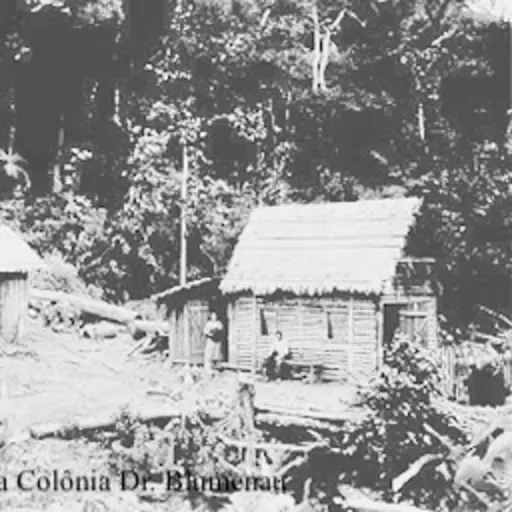 25/07 - Dia do Colono