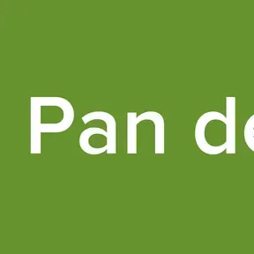 Radio Pan de vida