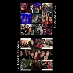ZTEAM INTENSOS