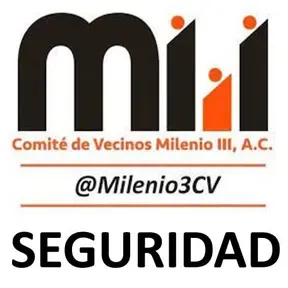 Seguridad Milenio III