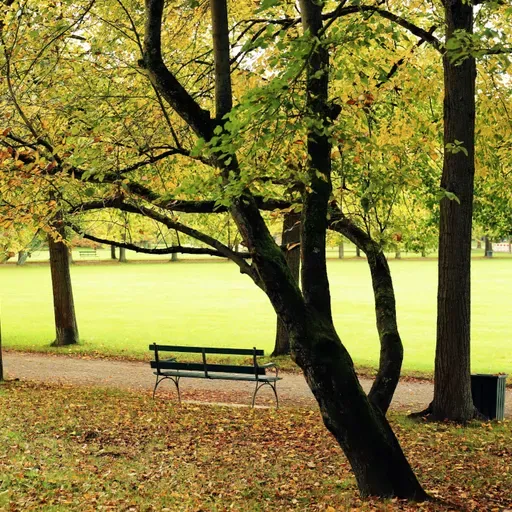 Священноисповедник Митрофан Сребрянский и его супруга Ольга Владимировна Сребрянская