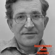 Biography Flash Noam Chomsky and the Epstein Files New Documents Rewrite a Legacy
