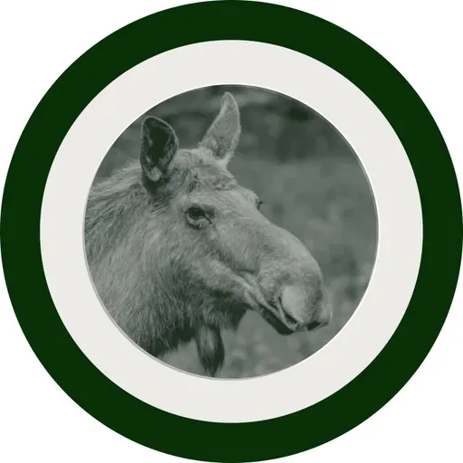 Summer Reading: Two Transcendent Poems About Public Transportation