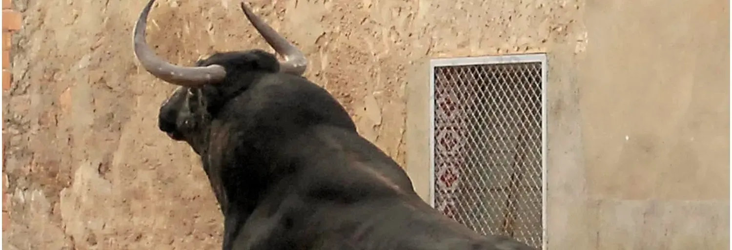 RADIO SOUND TRIP ECUADOR