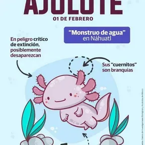 OYE 99.9