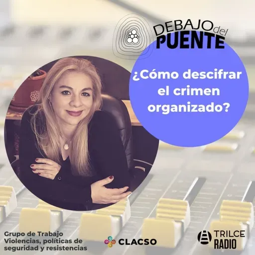 Debajo Del Puente #26 | ¿Cómo descifrar el crimen organizado?
