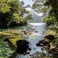 Meditación Guiada