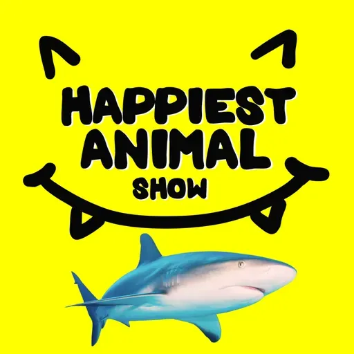 Sharks (with Ocean Scientist David Shiffman)