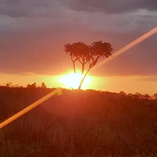 Filipenses 3:7 Mas o que para mim era ganho reputei-o perda por Cristo.
oque é lucro pra você