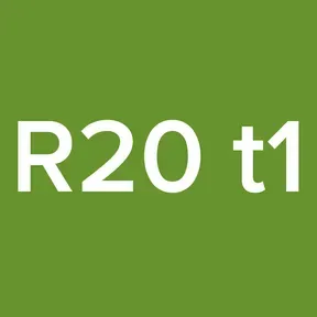 R20 t1
