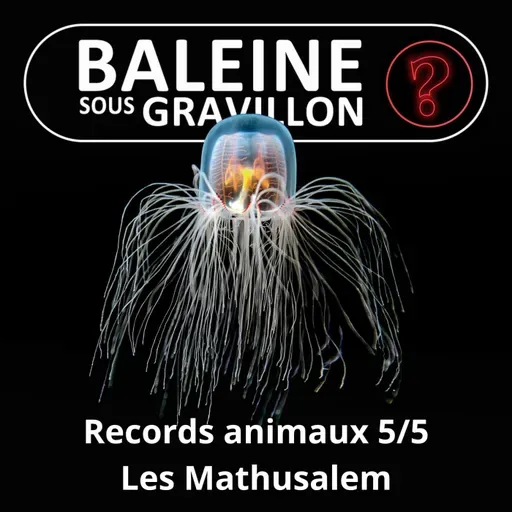 S07E148 Vous avez dit bizarre ? Records 5/5 : Les Mathusalem