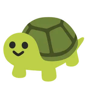 TurtleFM