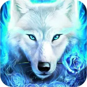 neonfirewolfedmradiostudeo