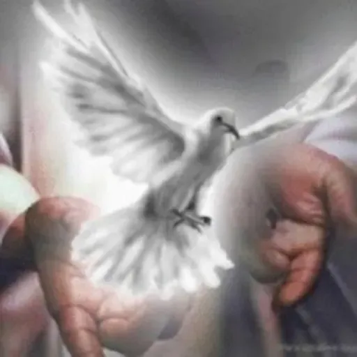 219. O Espírito Santo conduz