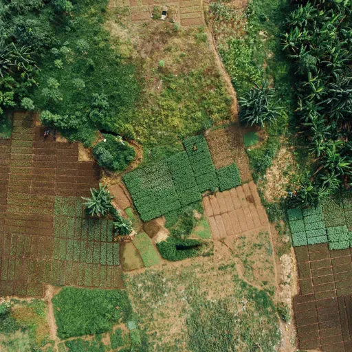 S7 Ep19: Can digital credit unlock investment in smallholder farms?