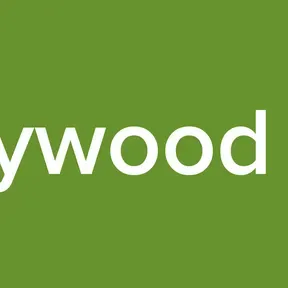 Hindi Desi Bollywood Evergreen Hits