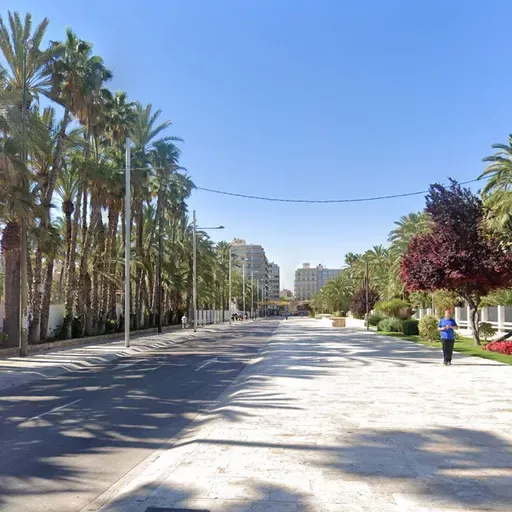 Contigo Elche plantea transformar el Paseo de la Estación en plataforma única