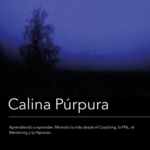 #120: Mejor dejar eso... note hace bien.