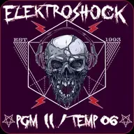ELEKTROSHOCK / PGM 11 - TEMP 06
