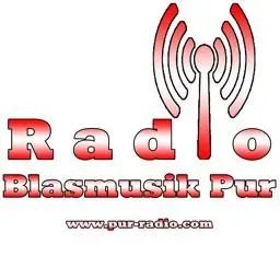 Blasmusik Pur Live