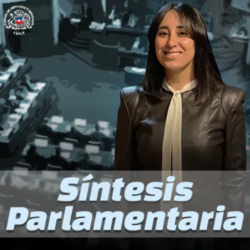 Síntesis Parlamentaria - Semana del 18 de Noviembre de 2024 