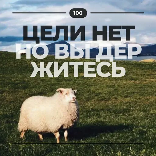 #100. Цели нет