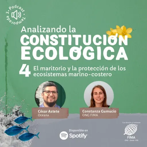 El maritorio y la protección de los ecosistemas marino-costero
