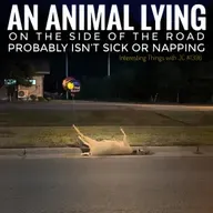 1396: "An Animal Lying on the Side of the Road Probably Isn’t Sick or Napping"
