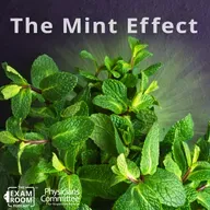 12 Surprising Health Benefits of Mint | Dr. Hana Kahleova