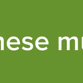 chinese muisc