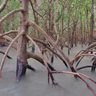 7x29 - AUSZZSZZ - TRRRR - LIA