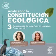 Gobernanza de las aguas en la nueva Constitución