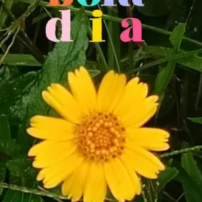 Rádio Fé Cristalina