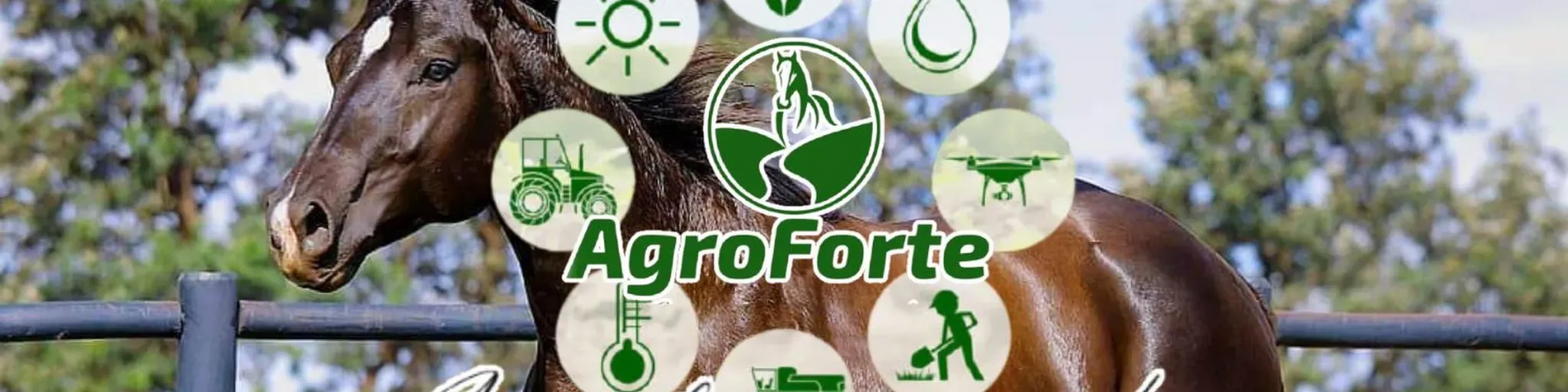 Radio Web AgroForte