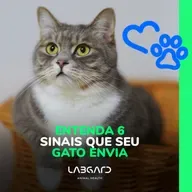 Episódio 82 - Entenda 6 sinais que seu gato envia!